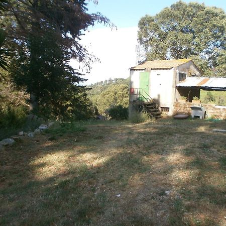 Appartamento Monolocale di Meo Suvereto Esterno foto