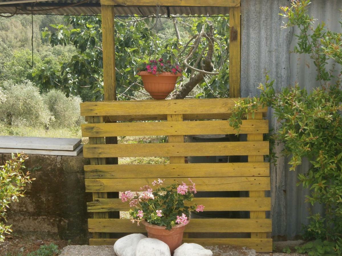 Appartamento Monolocale di Meo Suvereto Esterno foto